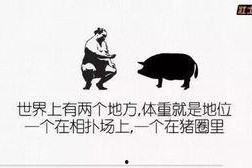 娱乐吃瓜文案图片搞笑版,笑料横生！娱乐吃瓜界的搞笑瞬间大盘点