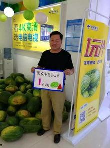 51今日吃瓜加州博士,51今日吃瓜背后的真相与启示